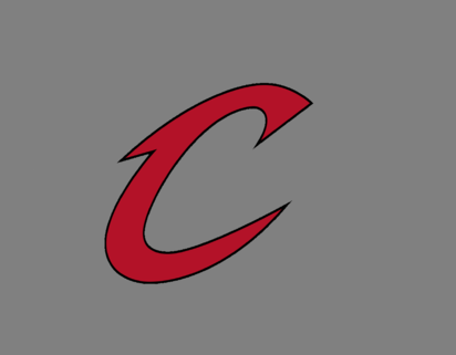 CCS Support logo